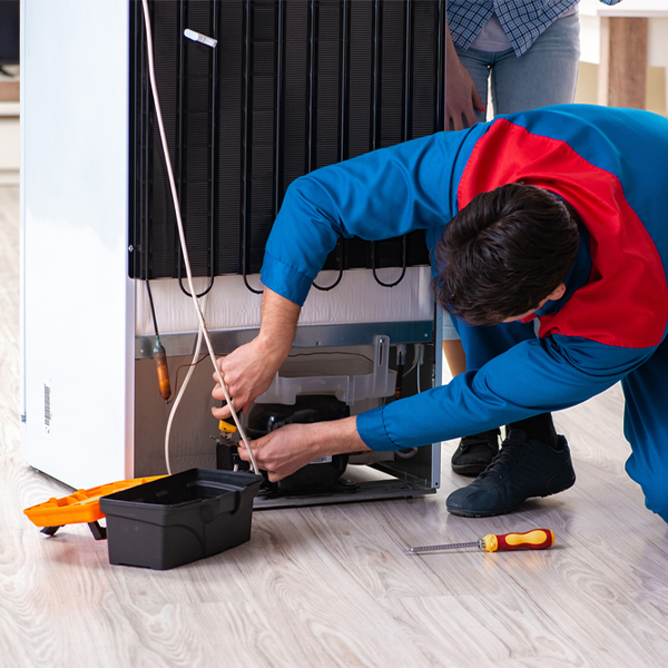 what are the common refrigerator repair services in Lutsen